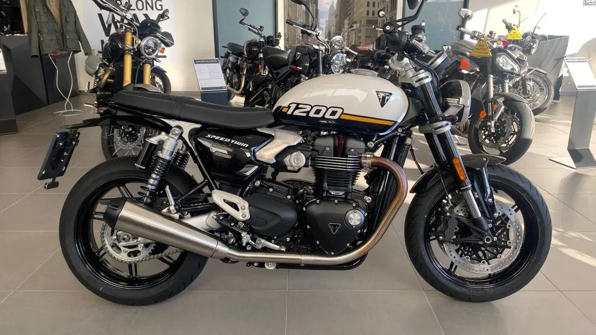 Triumph Speed Twin 1200 (2025 - 26) 