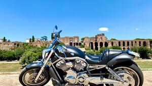 Harley-Davidson 1130 V-Rod (2002 - 05) - VRSCA 