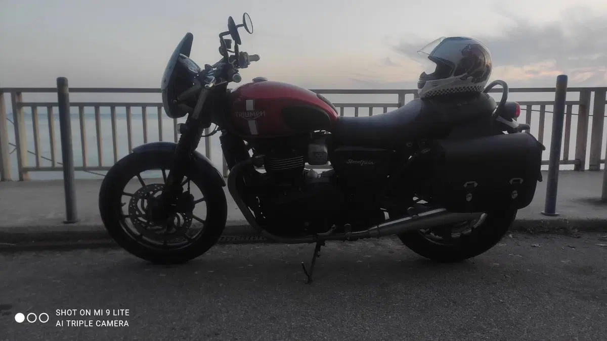 Triumph Street Twin 900 (2017 - 18)  (12)