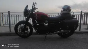 Triumph Street Twin 900 (2017 - 18)  (12)