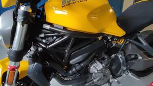 Ducati Monster 821 (2018 - 20) 