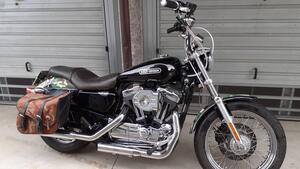 Harley-Davidson 1200 Low (2006 - 07) - XL 1200L 