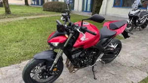Honda CB 1000 Hornet (2025 - 26)  (3)