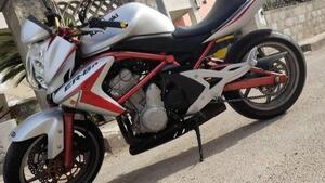 Kawasaki ER-6N (2005 - 08) 