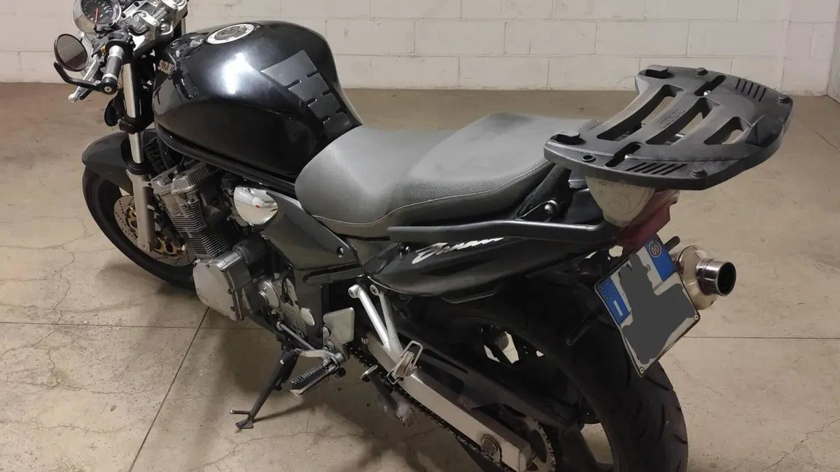 Suzuki GSF 600 Bandit (2000 - 05)  (2)