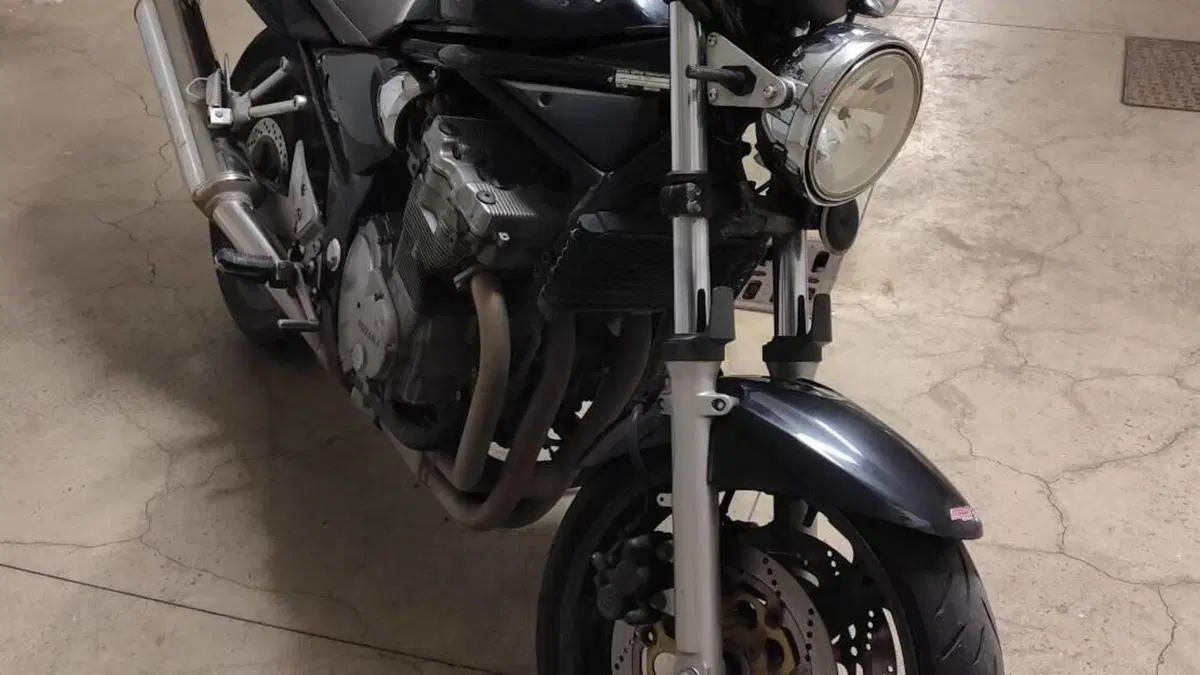 Suzuki GSF 600 Bandit (2000 - 05)  (5)