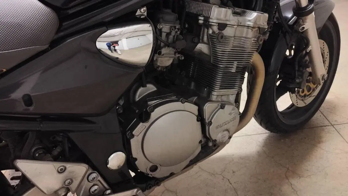 Suzuki GSF 600 Bandit (2000 - 05)  (7)