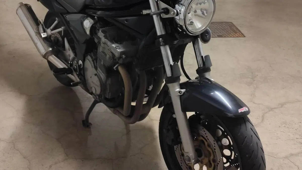 Suzuki GSF 600 Bandit (2000 - 05)  (8)
