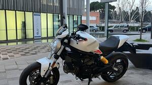 Ducati Monster 797 Plus (2019) 