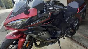Kawasaki Ninja 1000 SX (2021 - 24) 