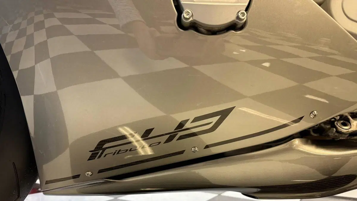 MV Agusta F43 Tributo (2023)  (14)