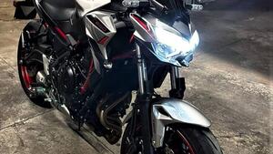 Kawasaki Z 650 Urban (2021 - 24) 