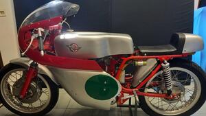 Ducati  