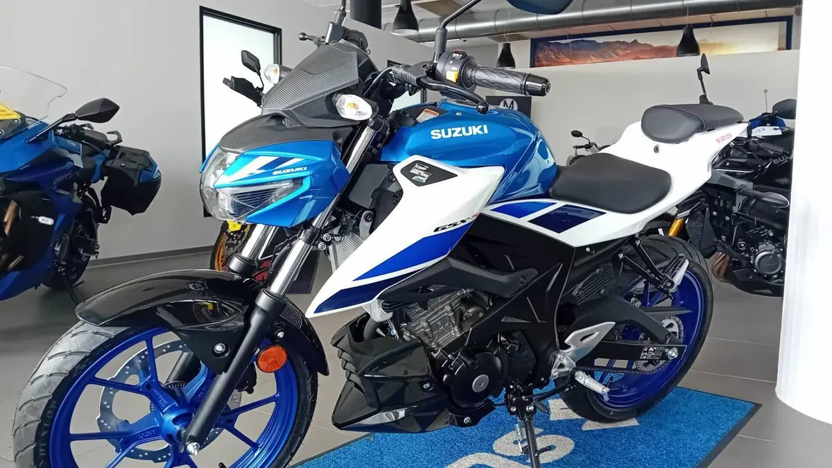 Suzuki GSX-S125 (2025 - 26)  (2)