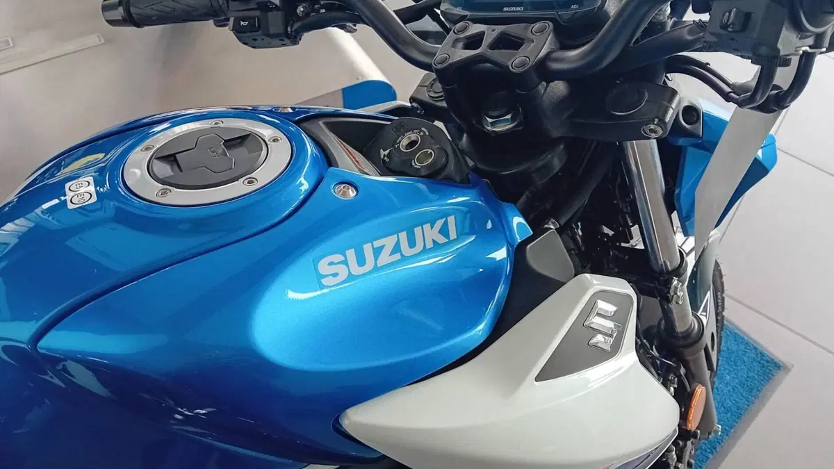 Suzuki GSX-S125 (2025 - 26)  (4)