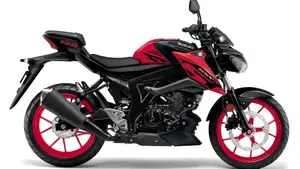 Suzuki GSX-S125 (2025 - 26)  (6)