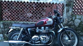 Triumph Bonneville T100 (2008 - 16) usata