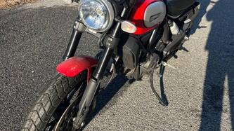 Ducati Scrambler 800 Icon (2015 - 16) usata