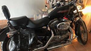 Harley-Davidson 883 Custom (2001 - 05) - XL 53C