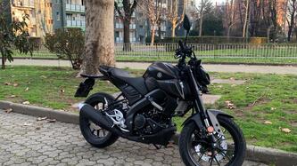Yamaha MT-125 (2021 - 24) usata