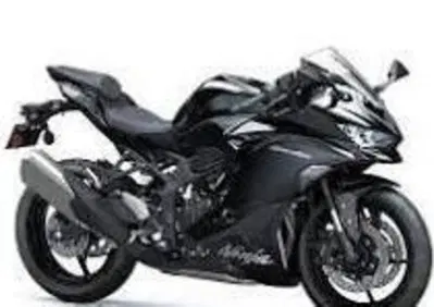 Kawasaki Ninja ZX-4R (2024 - 26) - Annuncio 9636184