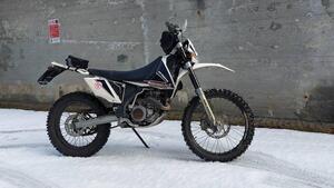 Scorpa T-Ride 250 F 