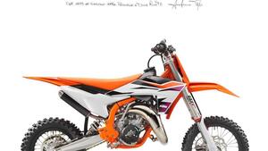 KTM 65 SX (2024 - 25) 