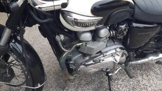 Triumph Bonneville T100 (2008 - 16) usata