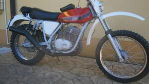 Tgm  