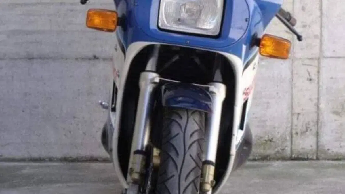 Suzuki   (13)