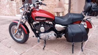 Harley-Davidson 1200 Custom (2007 - 13) - XL 1200C usata