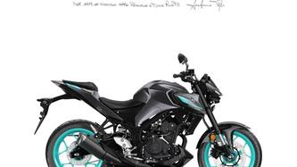 Yamaha MT-03 (2022 - 25) nuova