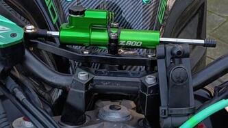Kawasaki Z 800 Performance (2013 - 13) usata