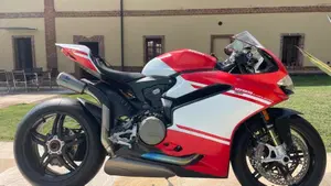 Ducati Superleggera 1299 (2017)  (3)