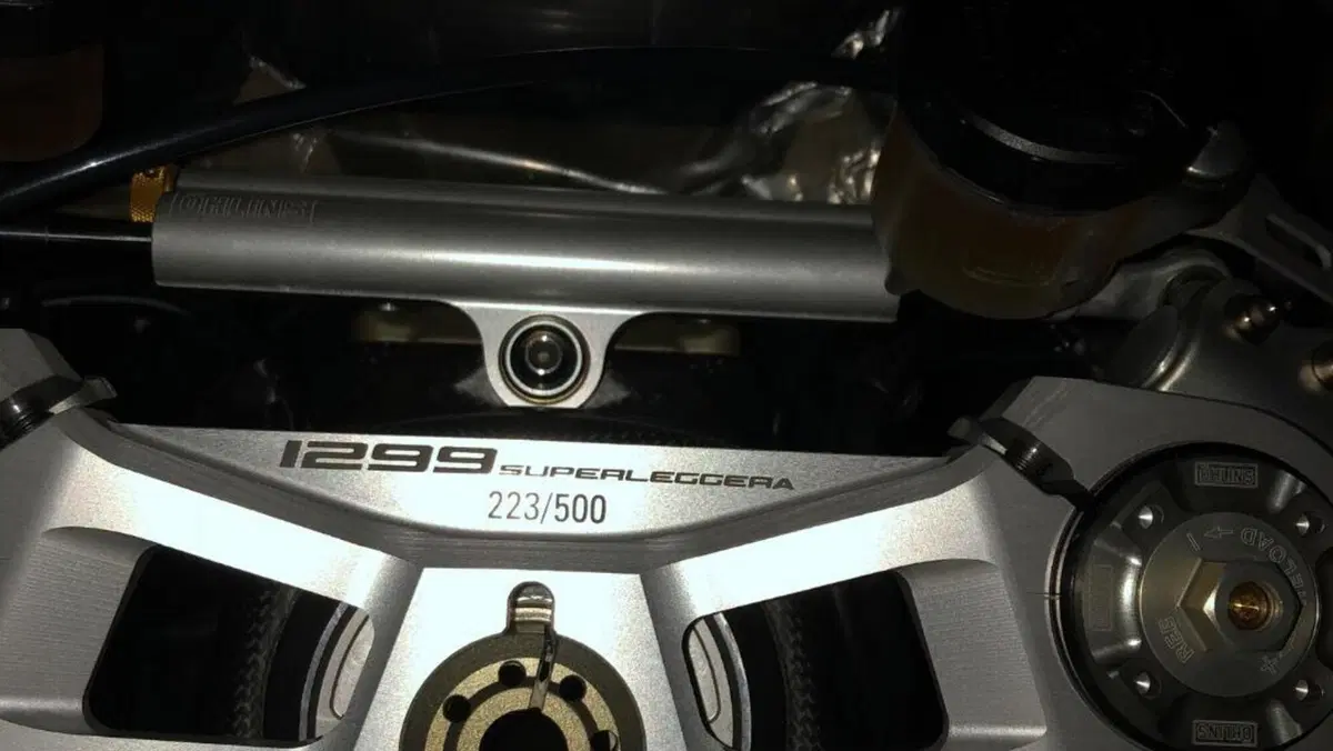 Ducati Superleggera 1299 (2017)  (5)