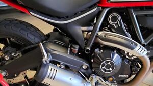 Ducati Scrambler 800 Icon (2021 - 22) 