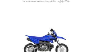Yamaha TT-R 50 (2024 - 25) 