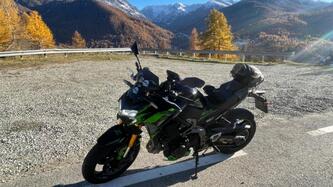 Kawasaki Z 900 Performance (2021 - 24) usata