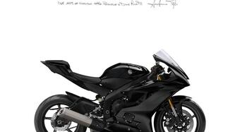 Yamaha YZF R6 Race (2022 - 25) nuova