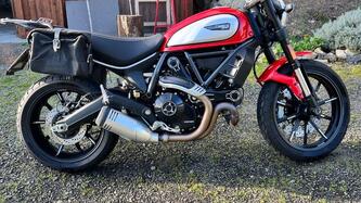 Ducati Scrambler 800 Icon (2021 - 22) usata