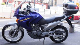 Honda Transalp XL 650V (2005 - 06) usata