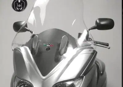 PARABREZZA BIONDI PER HONDA FORZA 250 CODICE 80611 - Annuncio 9641325