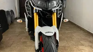 Yamaha MT-09 (2017 - 20)  (3)