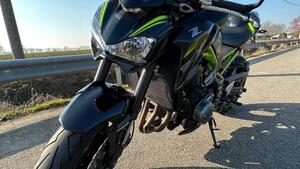 Kawasaki Z 900 (2019) 
