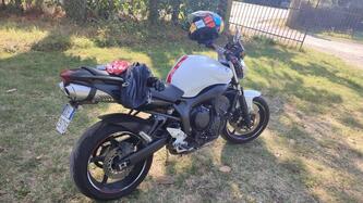 Yamaha FZ6 S2 (2007 - 11) usata