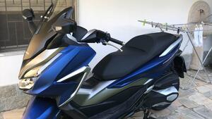Honda Forza 350 (2022 - 24) 