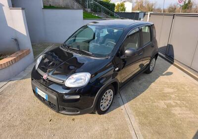 Fiat Panda van 1.0 hybrid Street 70cv 4p.ti serie 4 E6d usato