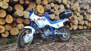 Honda NX 650 Dominator (1991 - 95) 