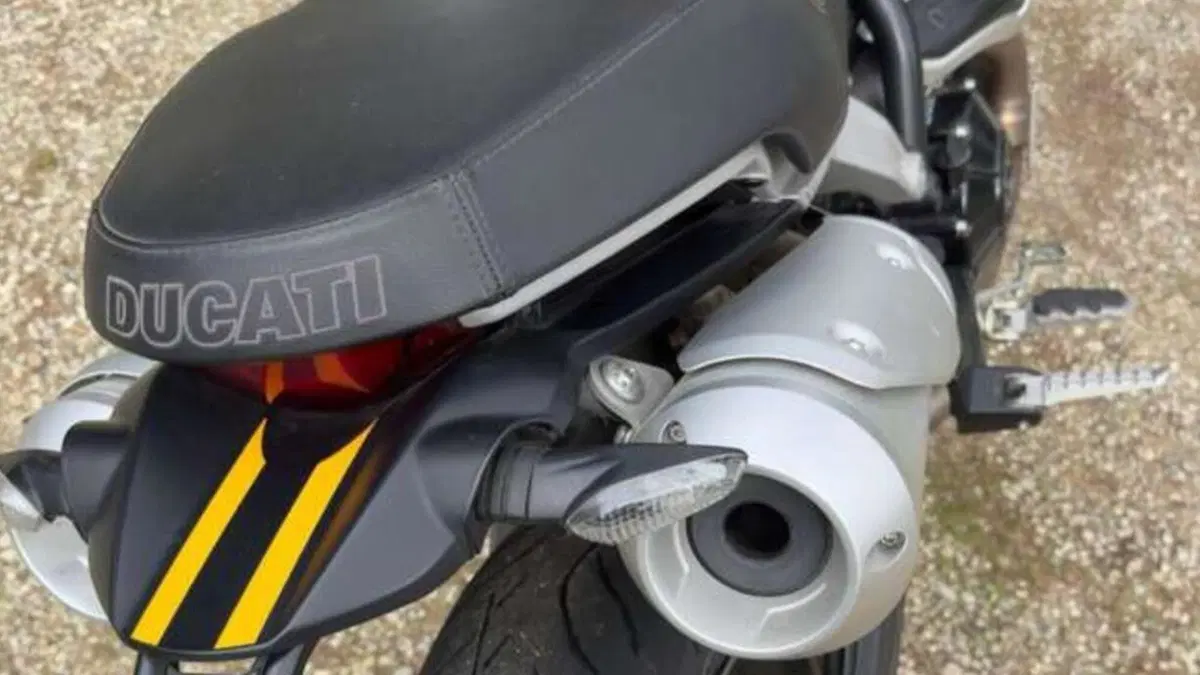 Ducati Scrambler 1100 Sport (2018 - 20)  (4)