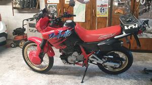 Honda NX 650 Dominator (1991 - 95) 